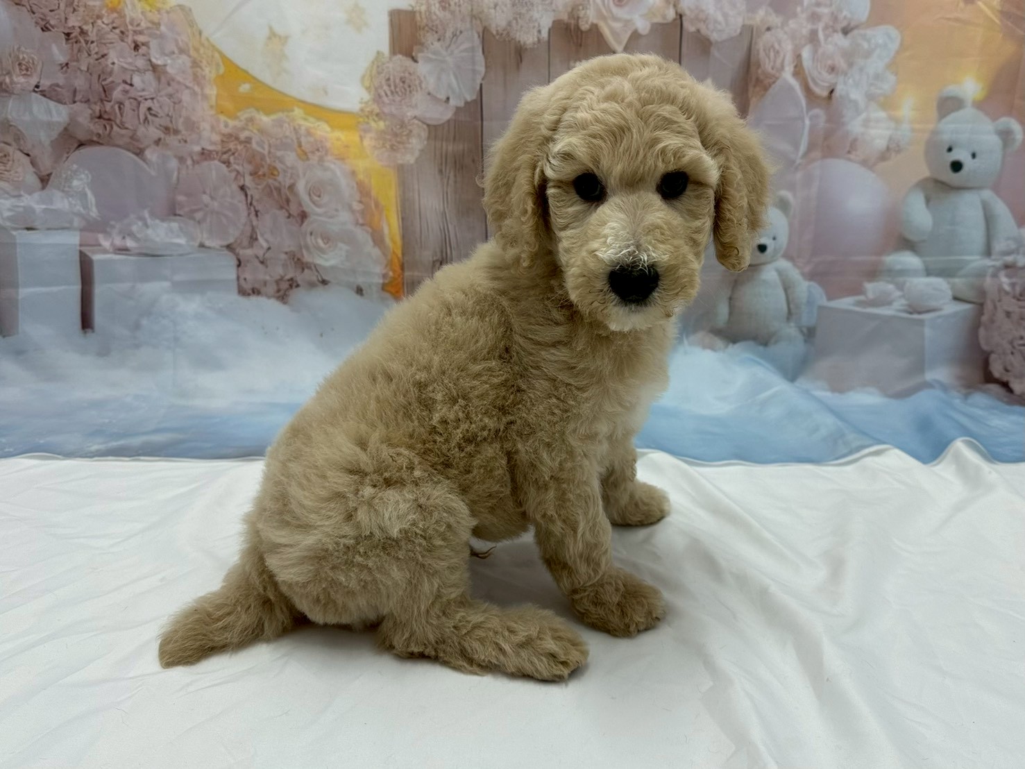 赤ちゃん写真3-2