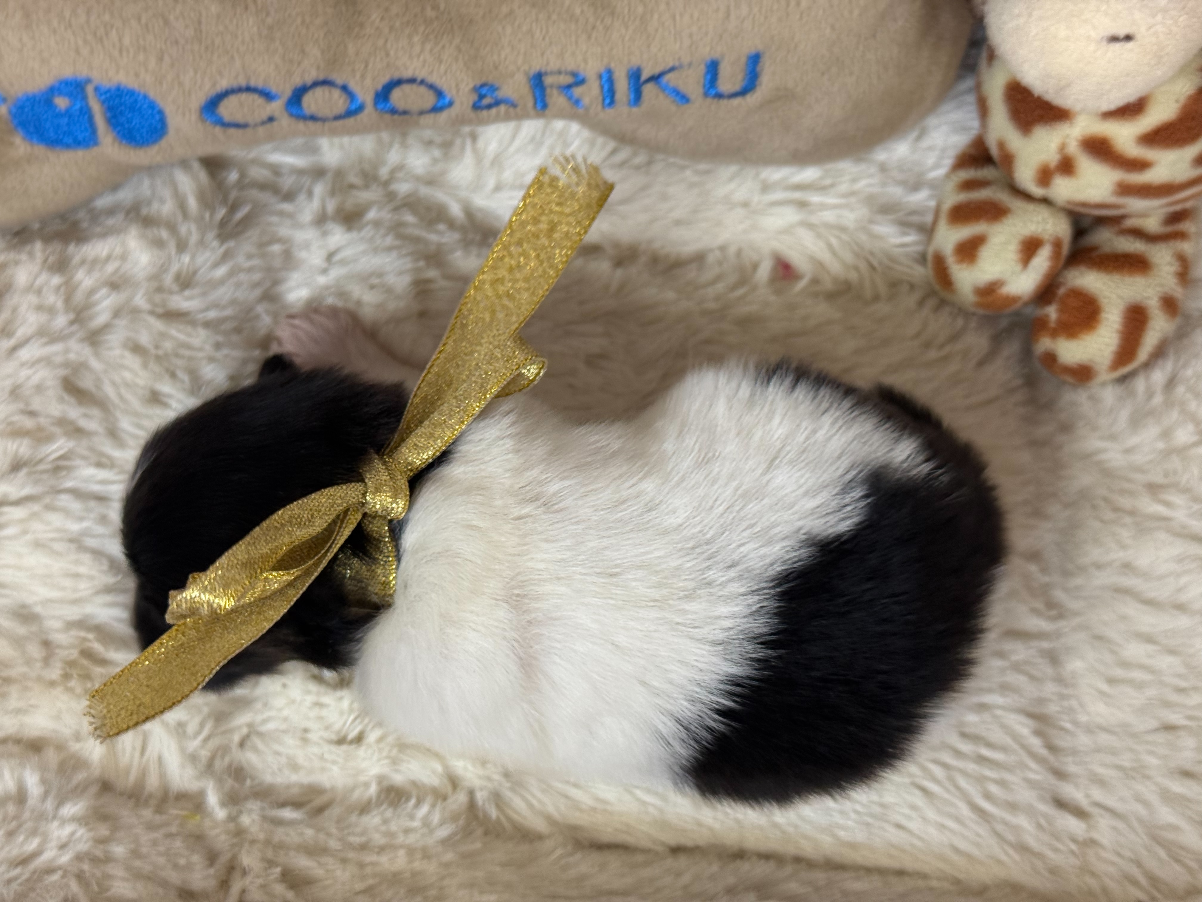 赤ちゃん写真1-3
