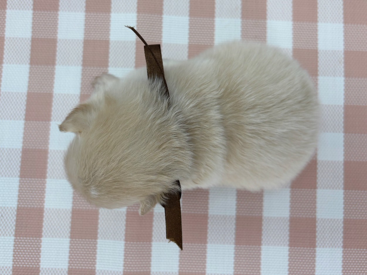 赤ちゃん写真2-3
