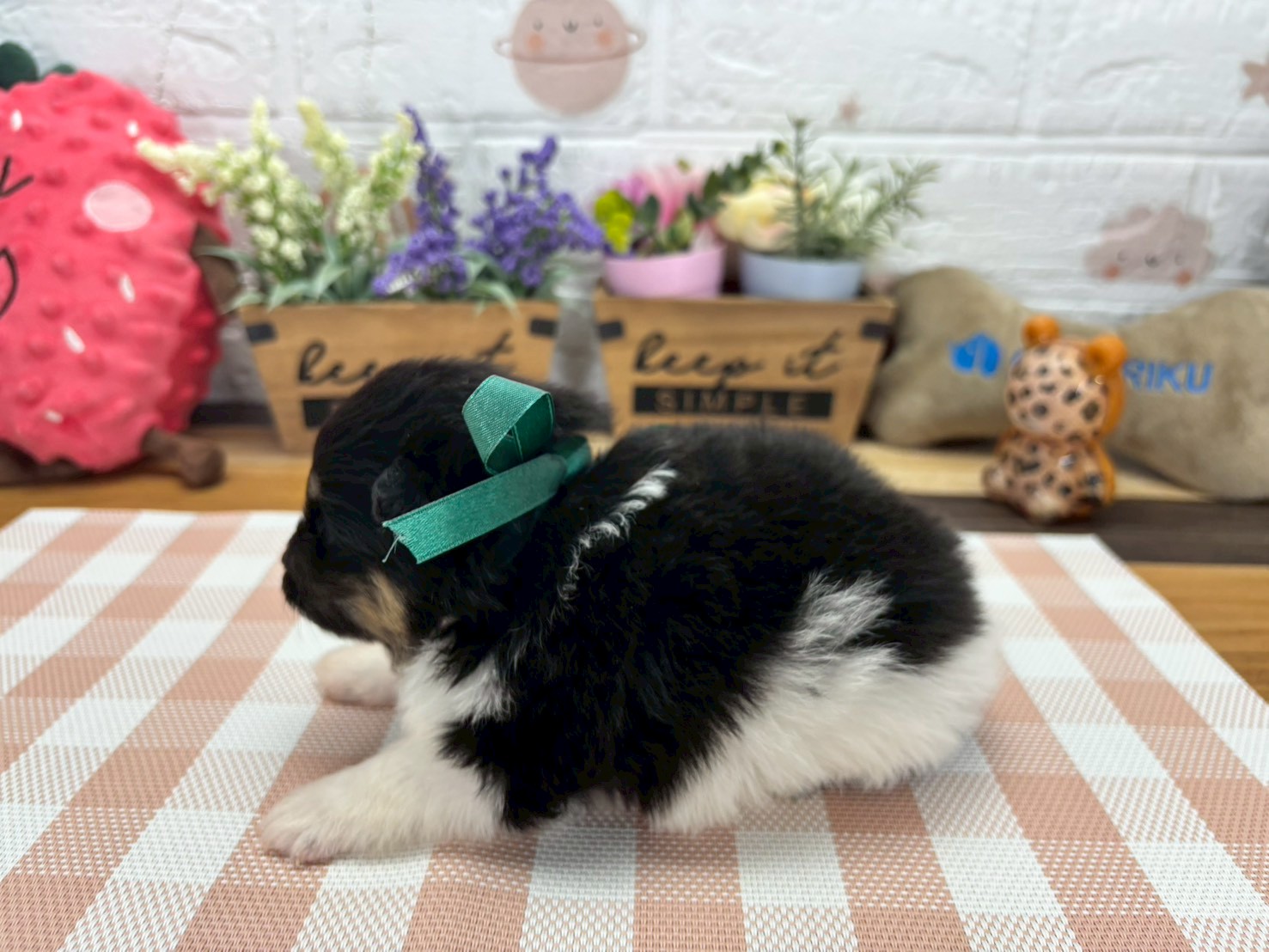 赤ちゃん写真2-2