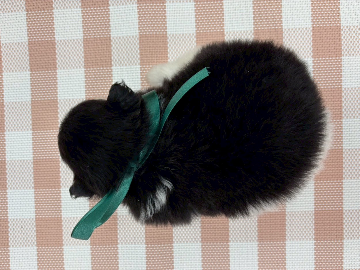 赤ちゃん写真2-3