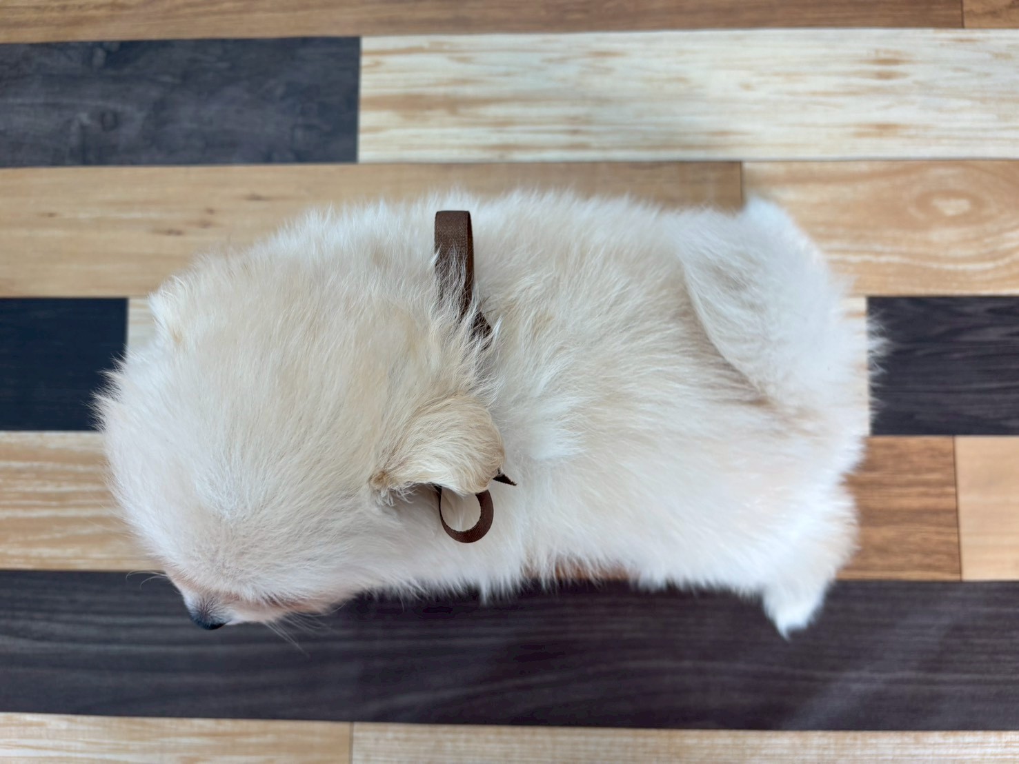 赤ちゃん写真3-3