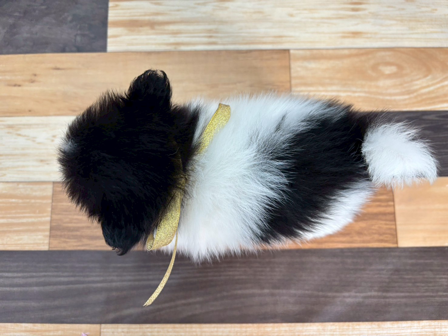 赤ちゃん写真3-3
