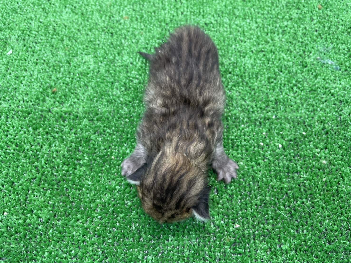 赤ちゃん写真1-3