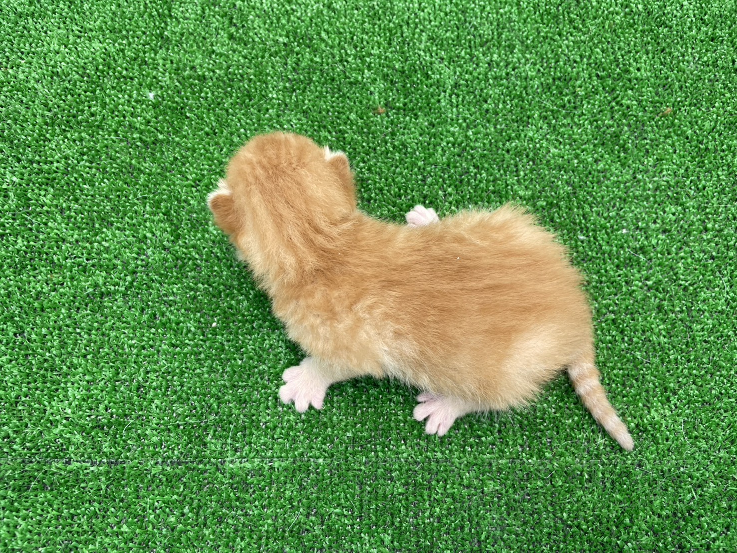 赤ちゃん写真1-3