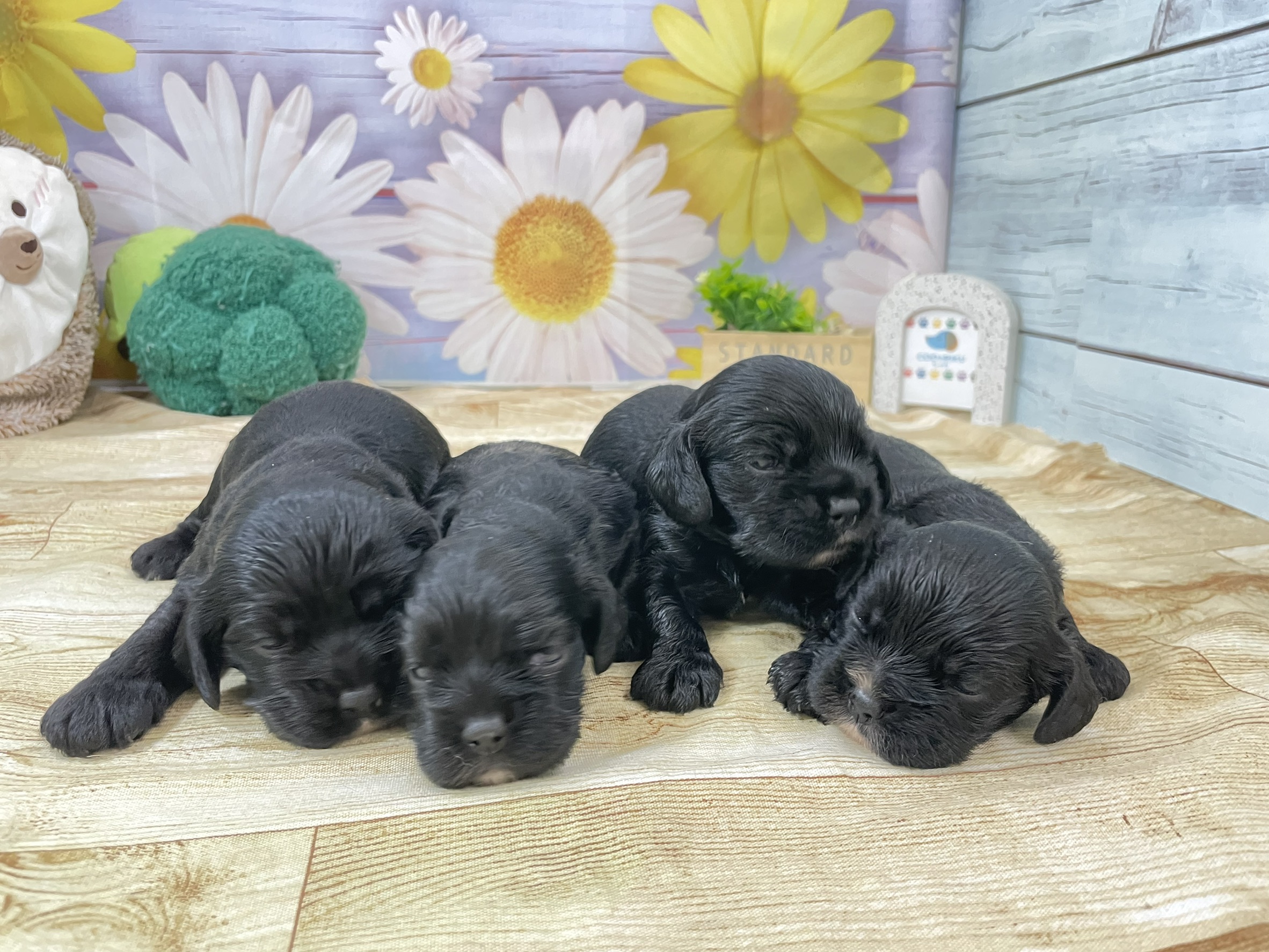 赤ちゃん写真1-3