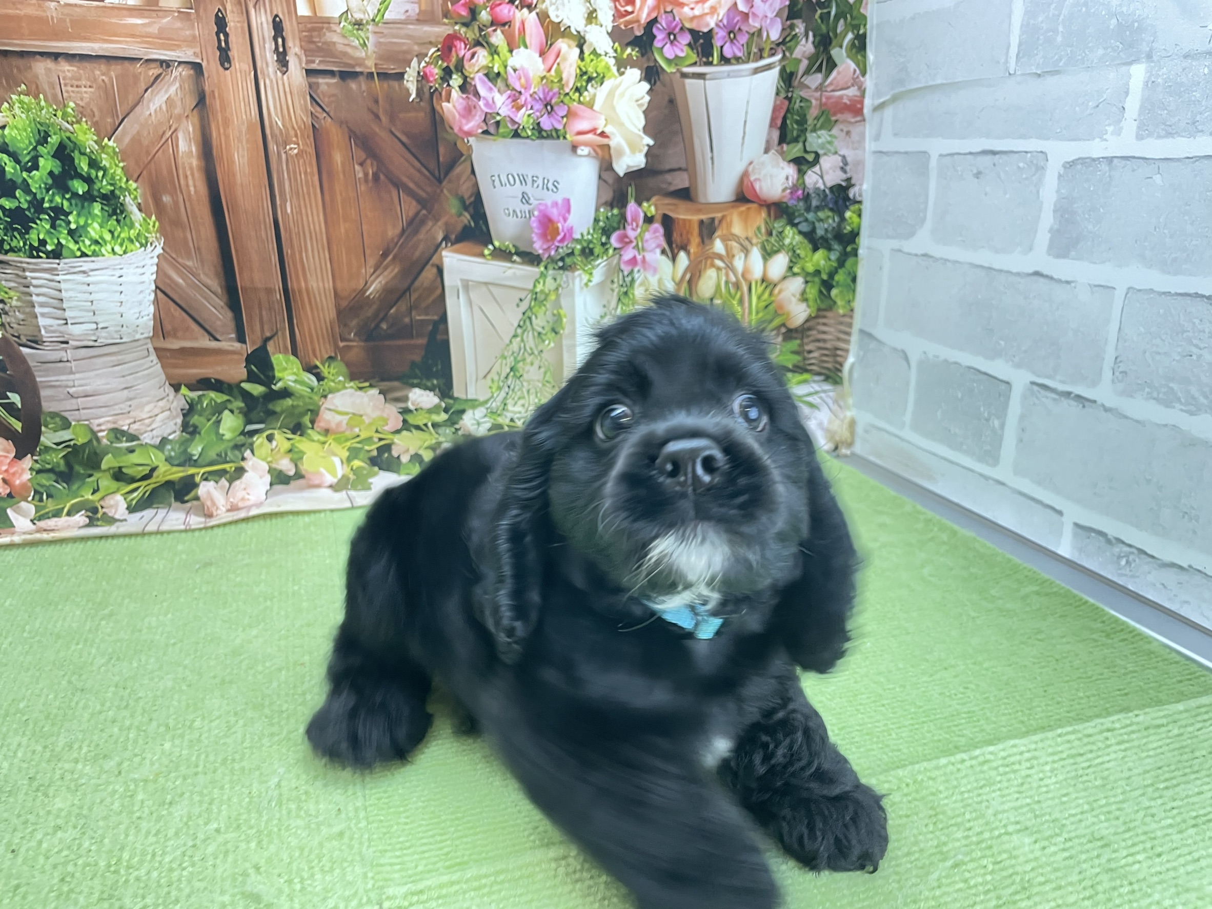 赤ちゃん写真3-2