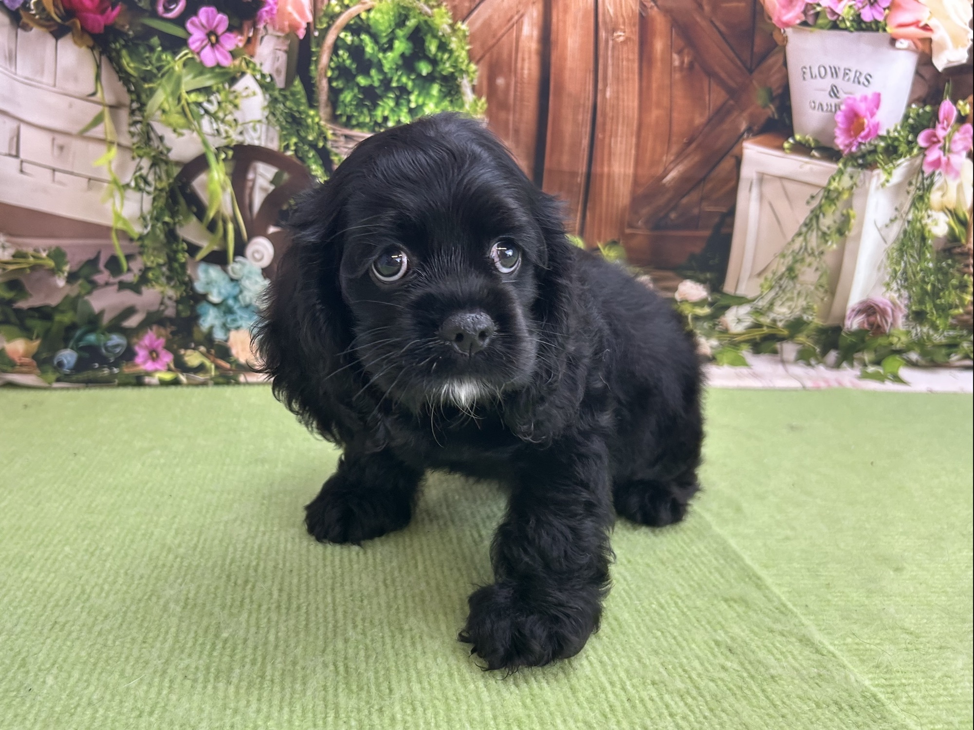 赤ちゃん写真2-1