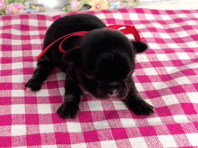 赤ちゃん写真1-1