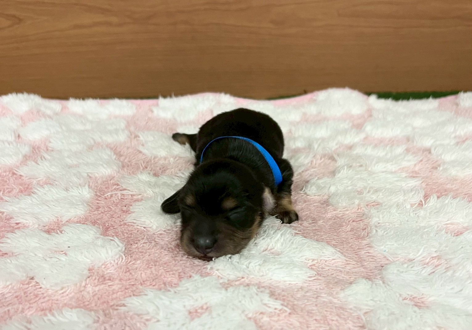 赤ちゃん写真1-1