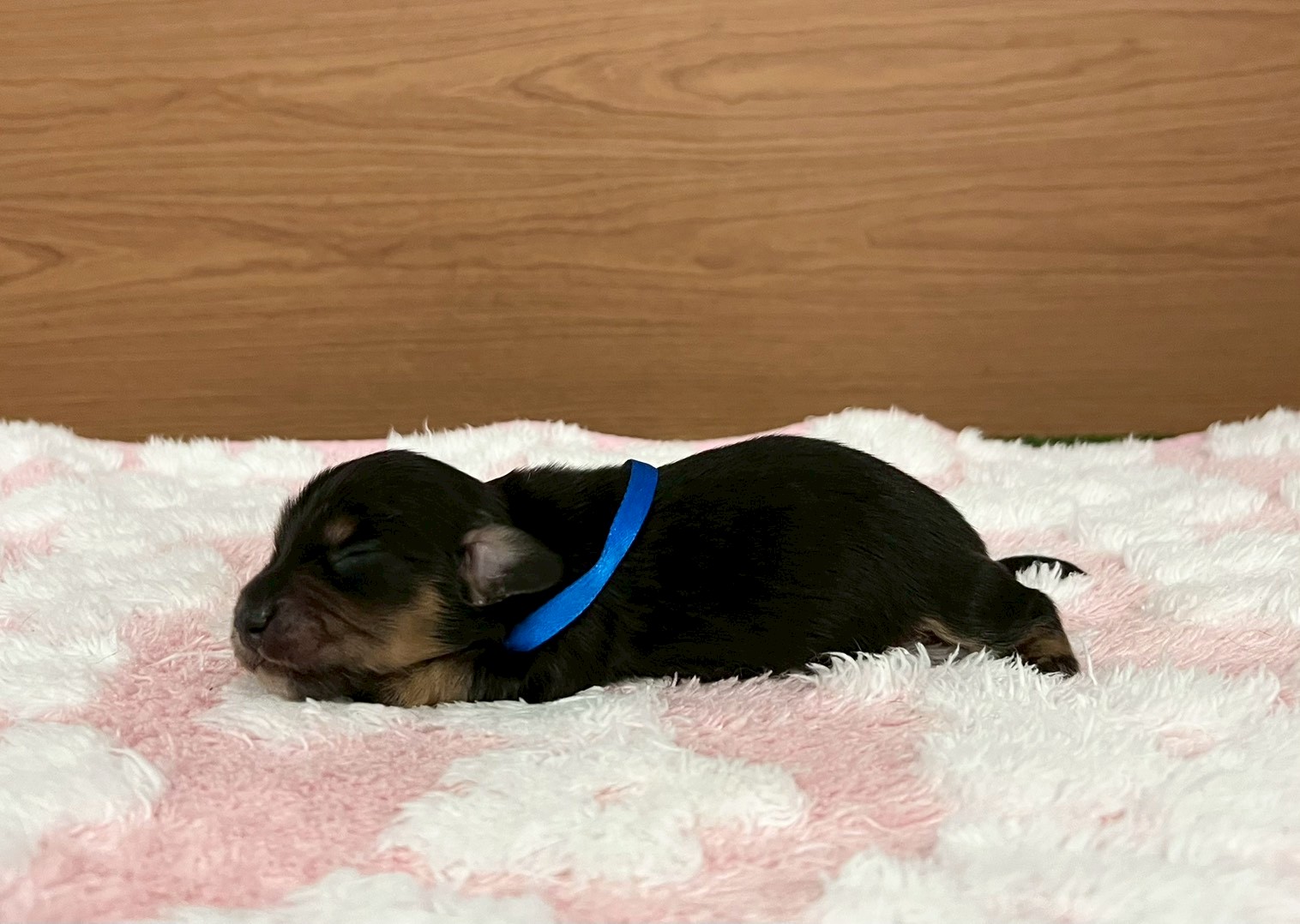 赤ちゃん写真1-2