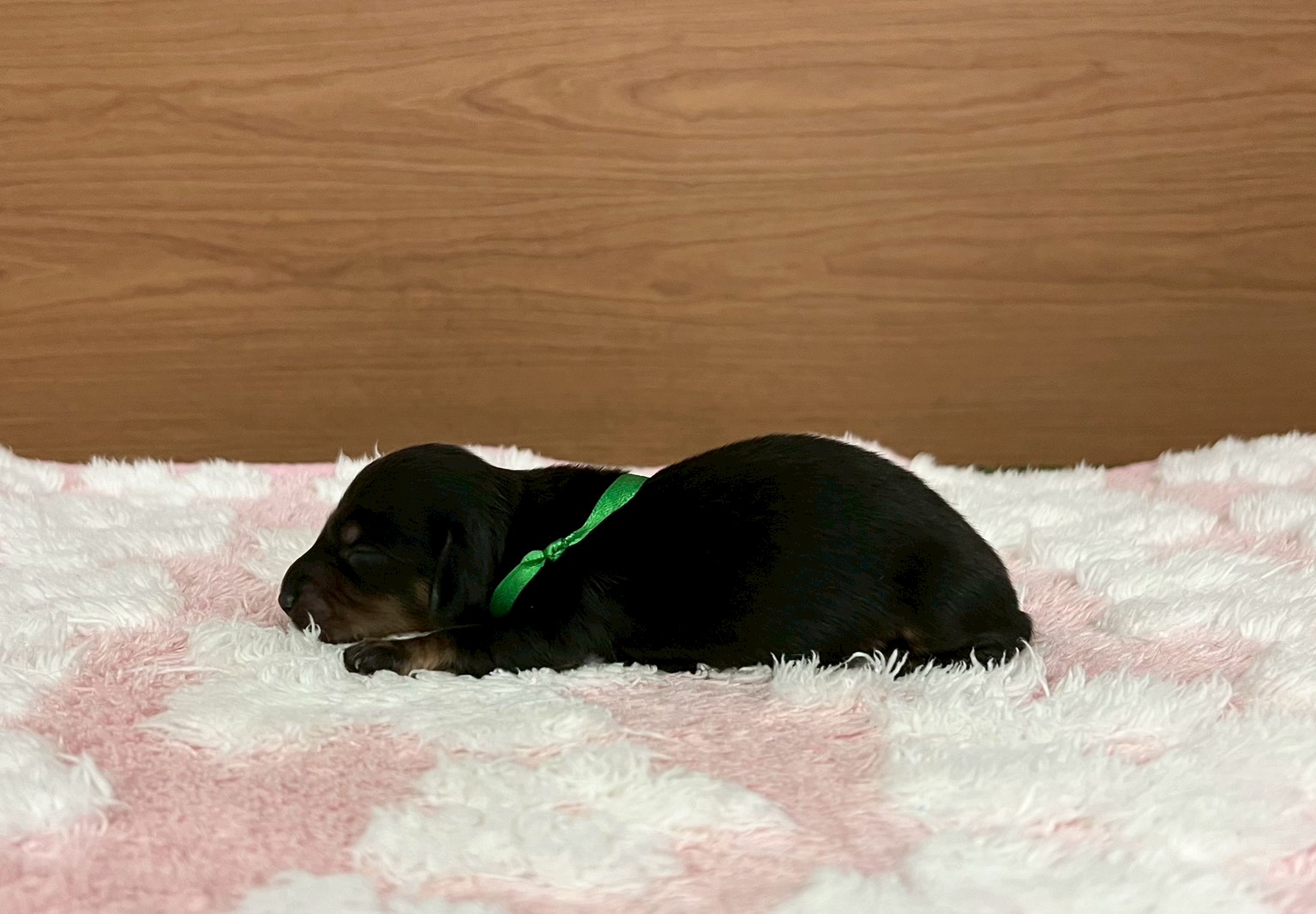 赤ちゃん写真1-2