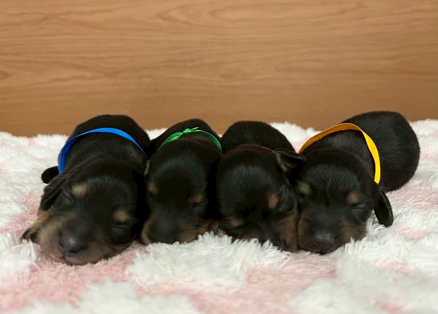 赤ちゃん写真1-3