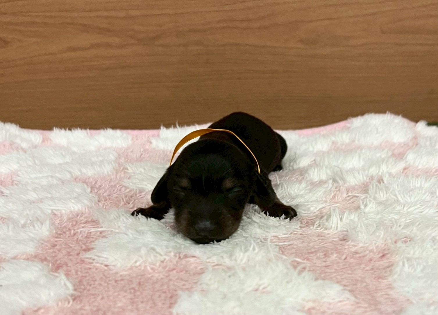 赤ちゃん写真1-1