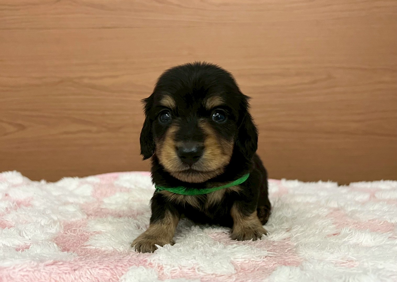 赤ちゃん写真2-1