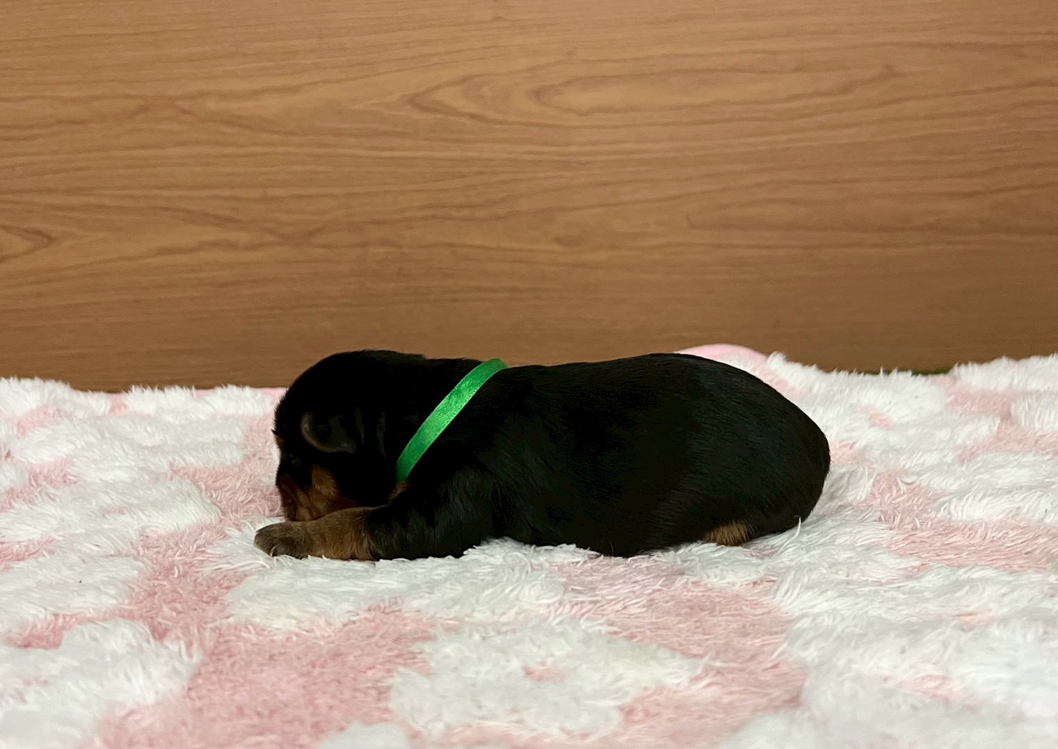赤ちゃん写真1-2