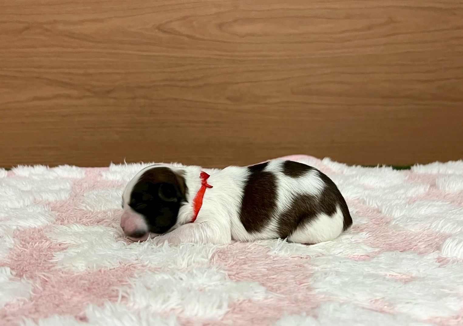 赤ちゃん写真1-2