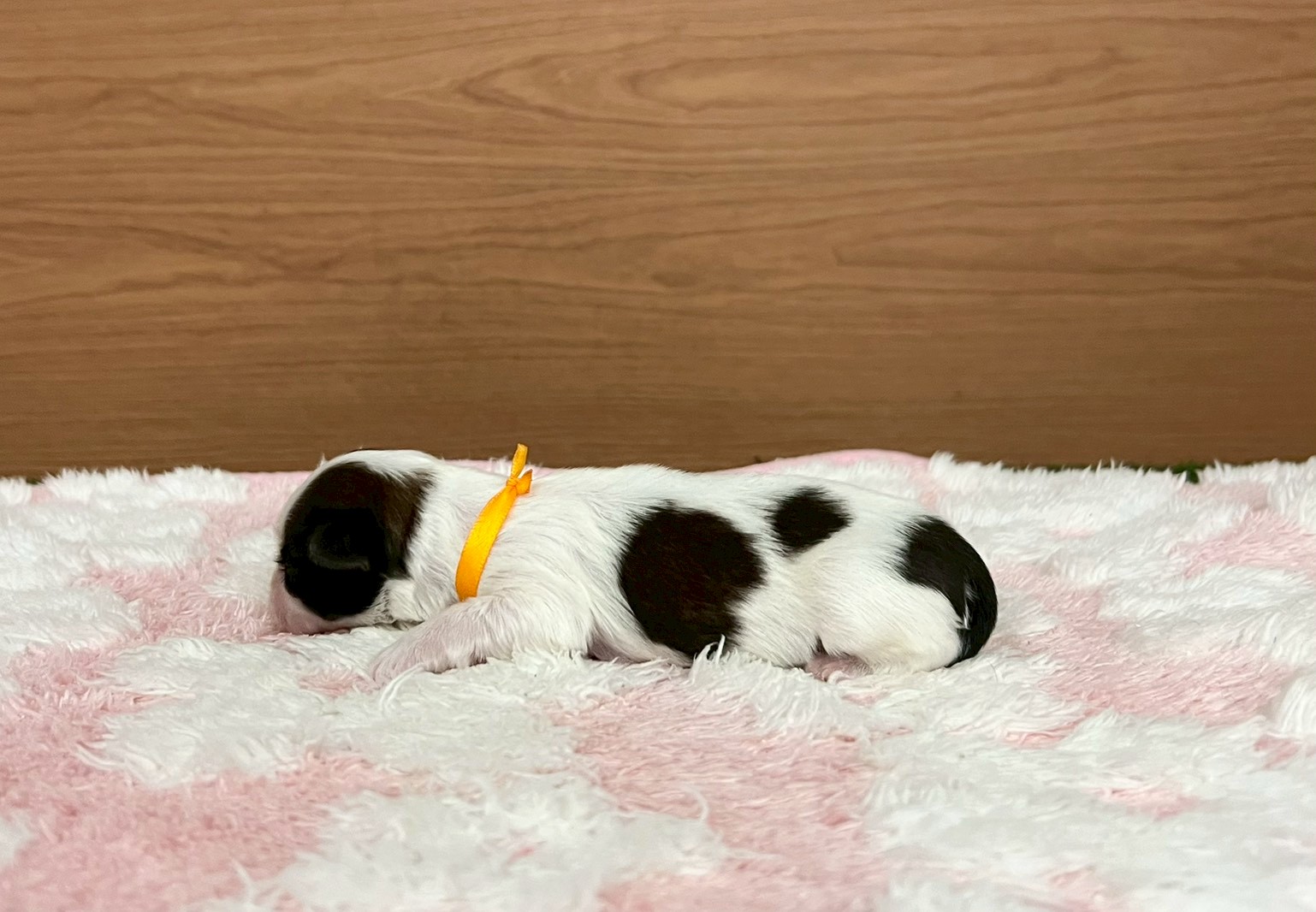 赤ちゃん写真1-2