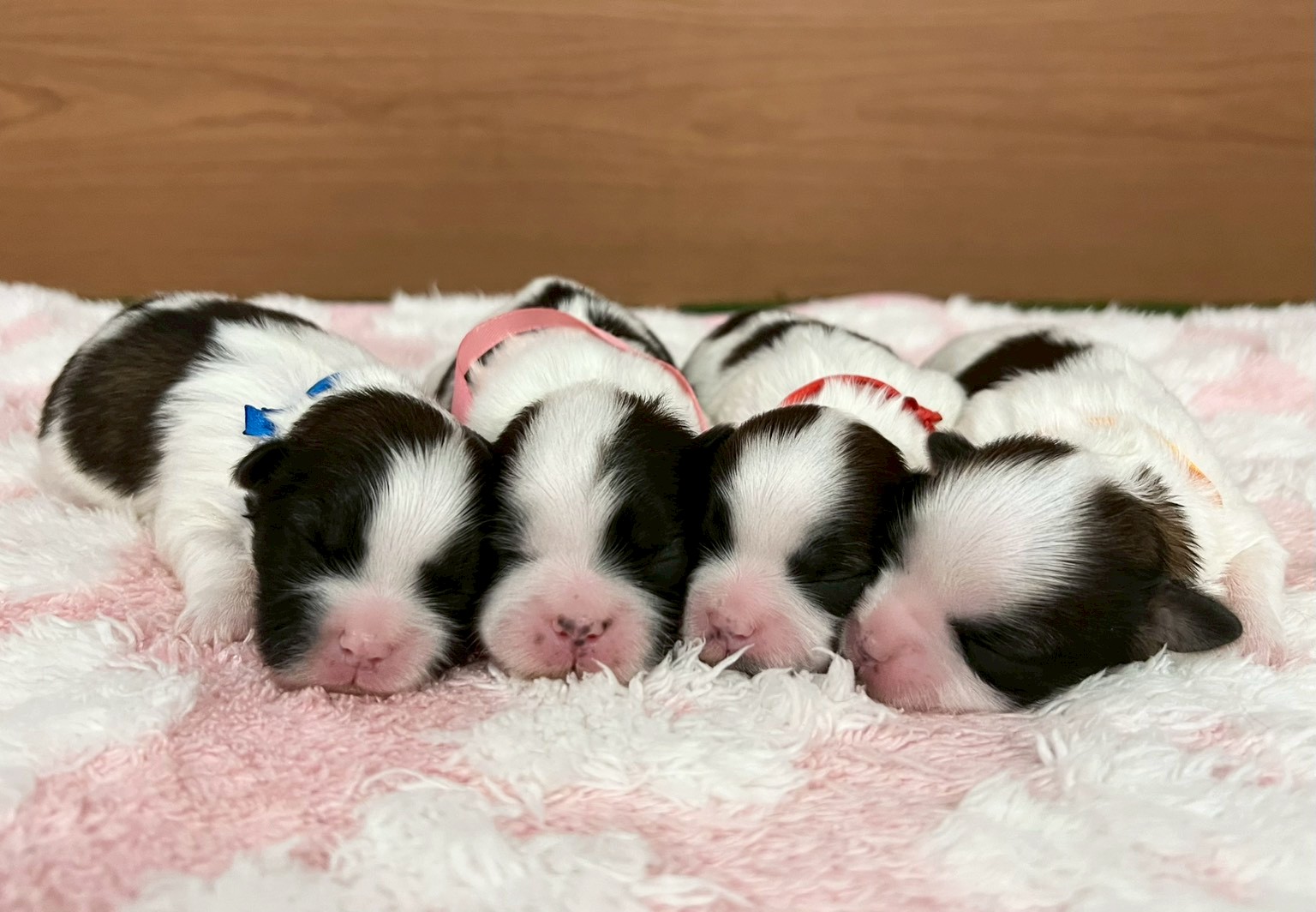 赤ちゃん写真1-3