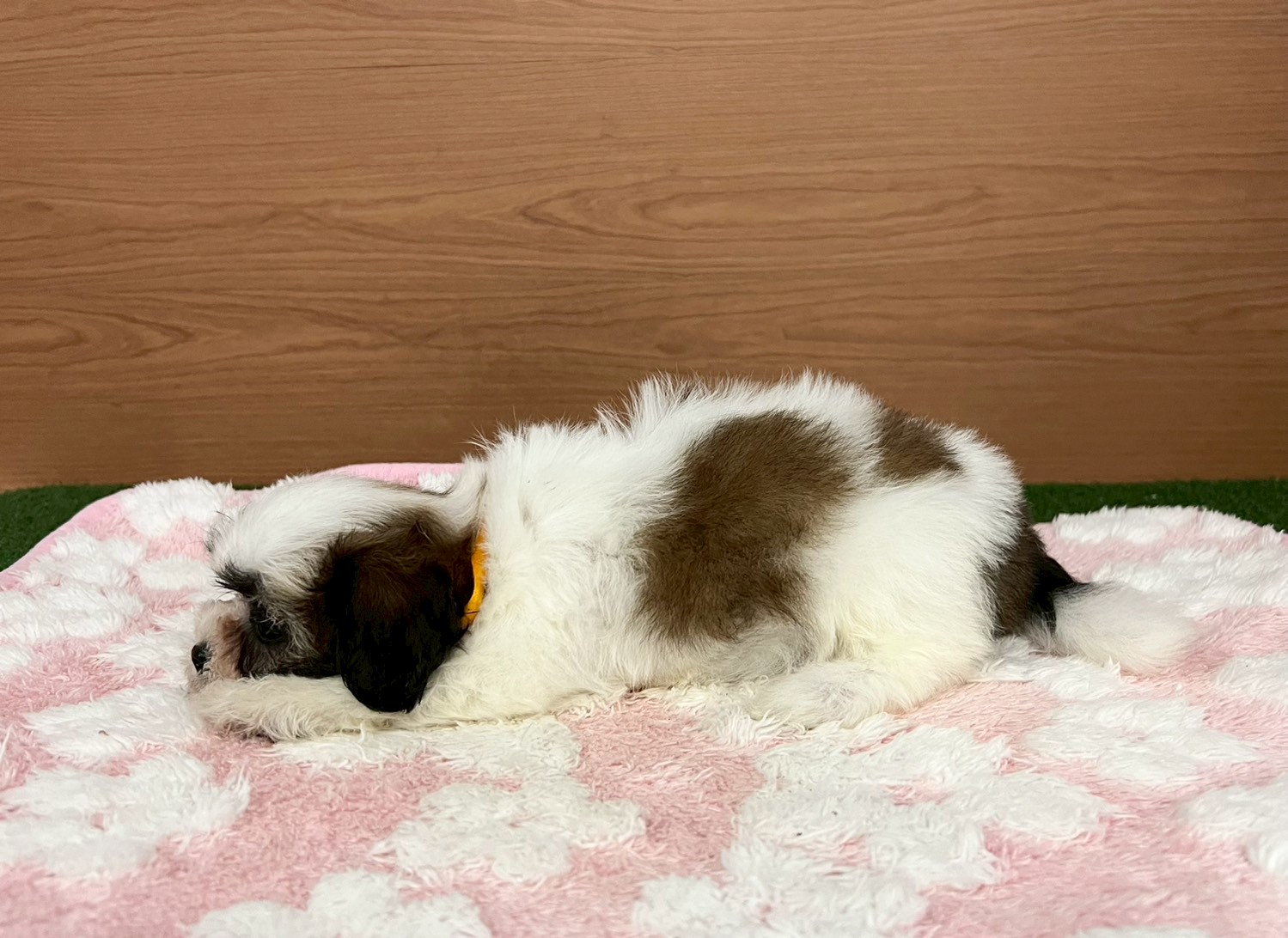 赤ちゃん写真3-2