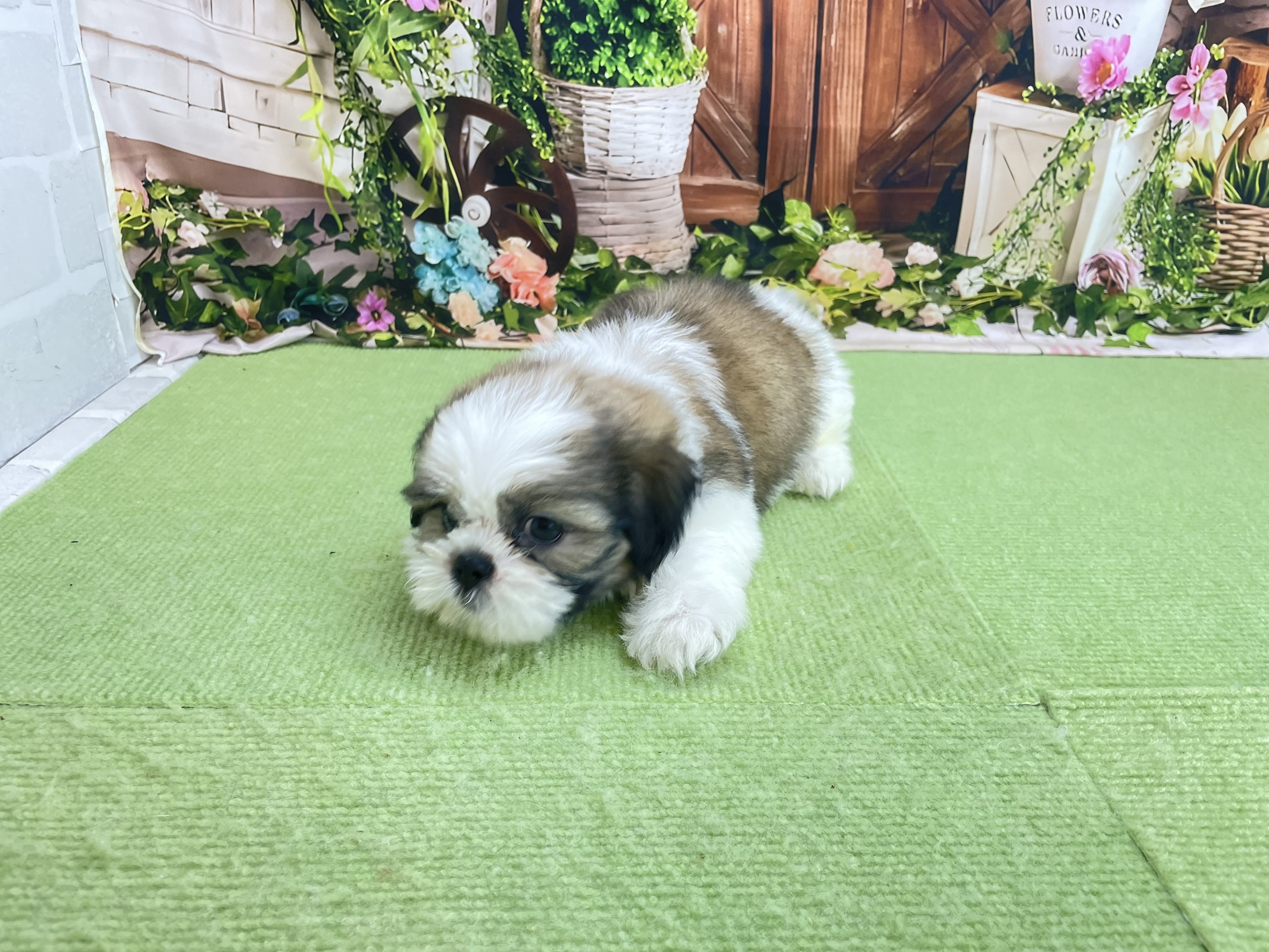 赤ちゃん写真3-2