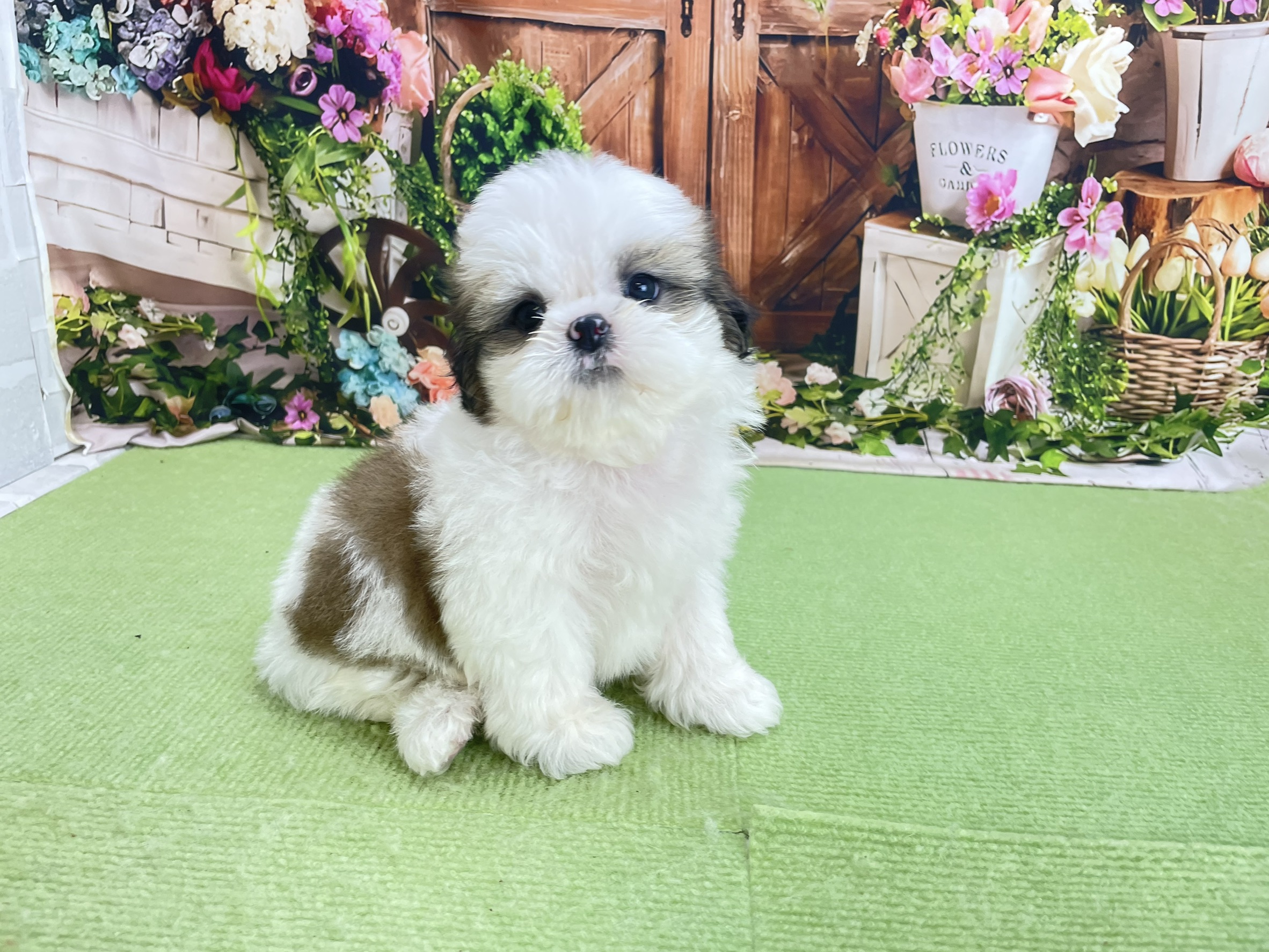 赤ちゃん写真3-1