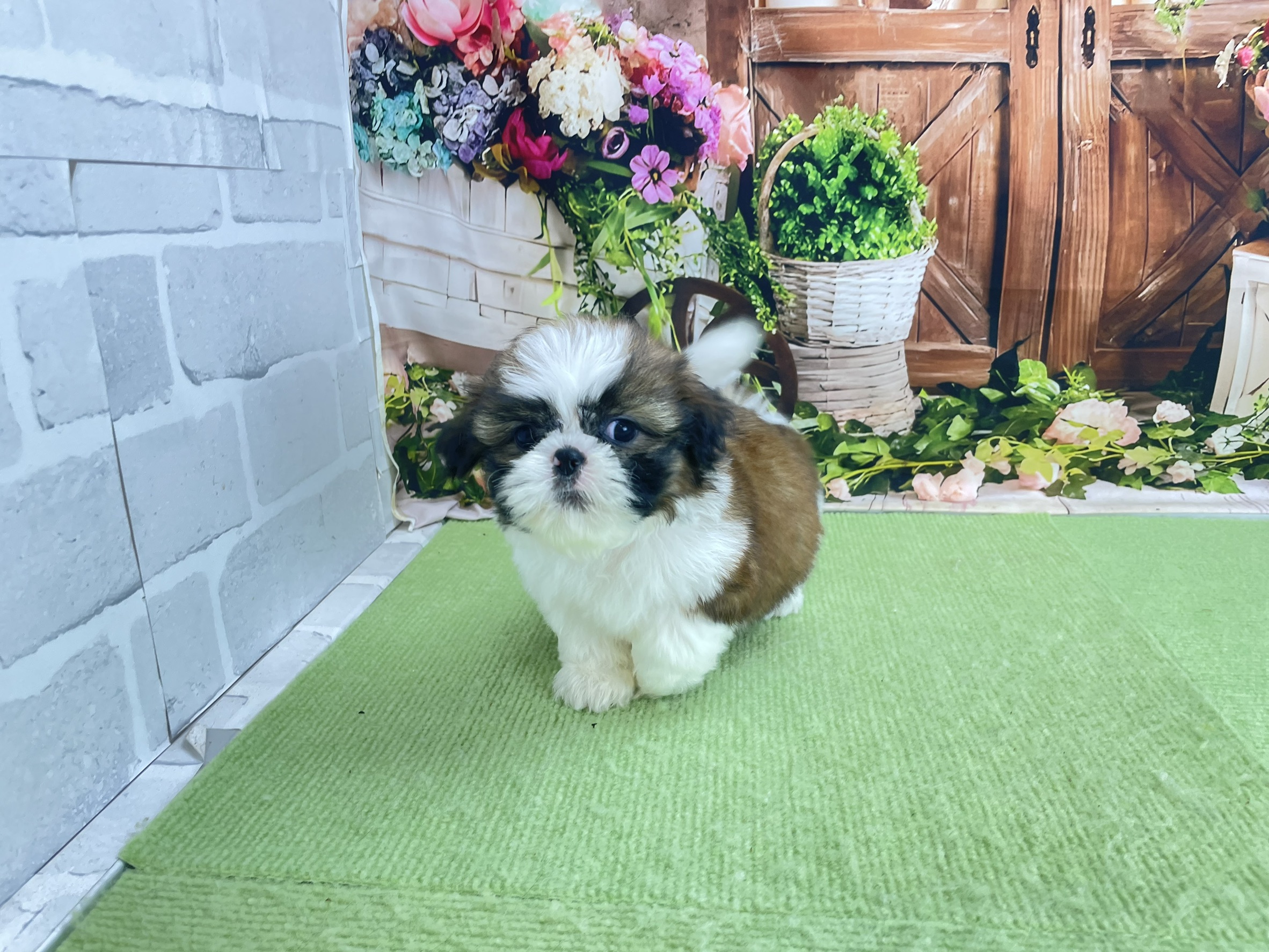赤ちゃん写真2-1