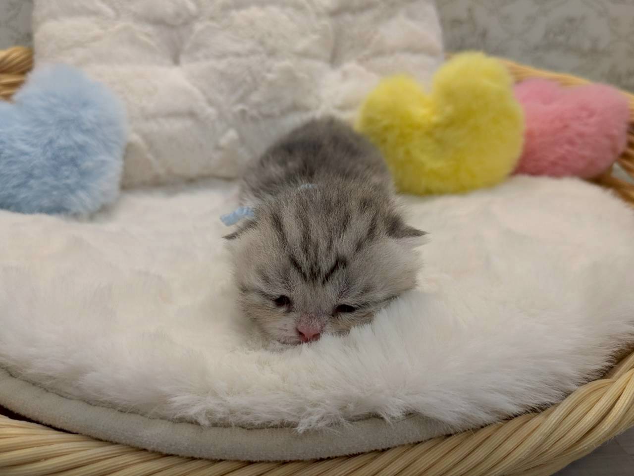赤ちゃん写真1-1