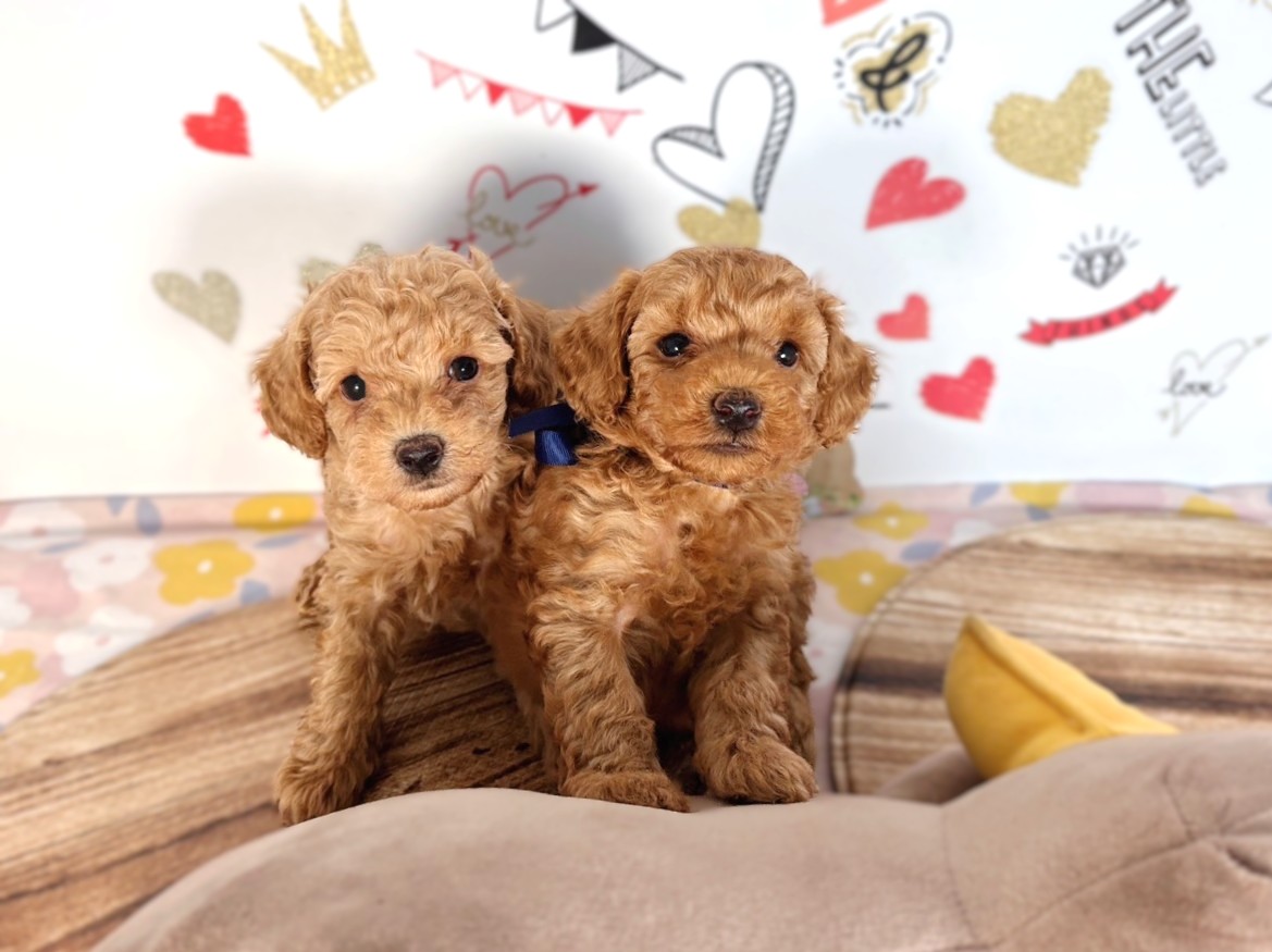 赤ちゃん写真2-3