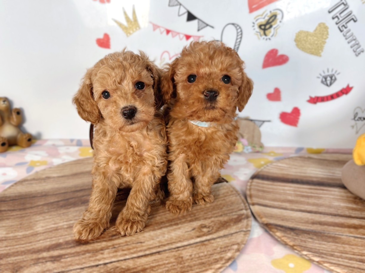 赤ちゃん写真2-3