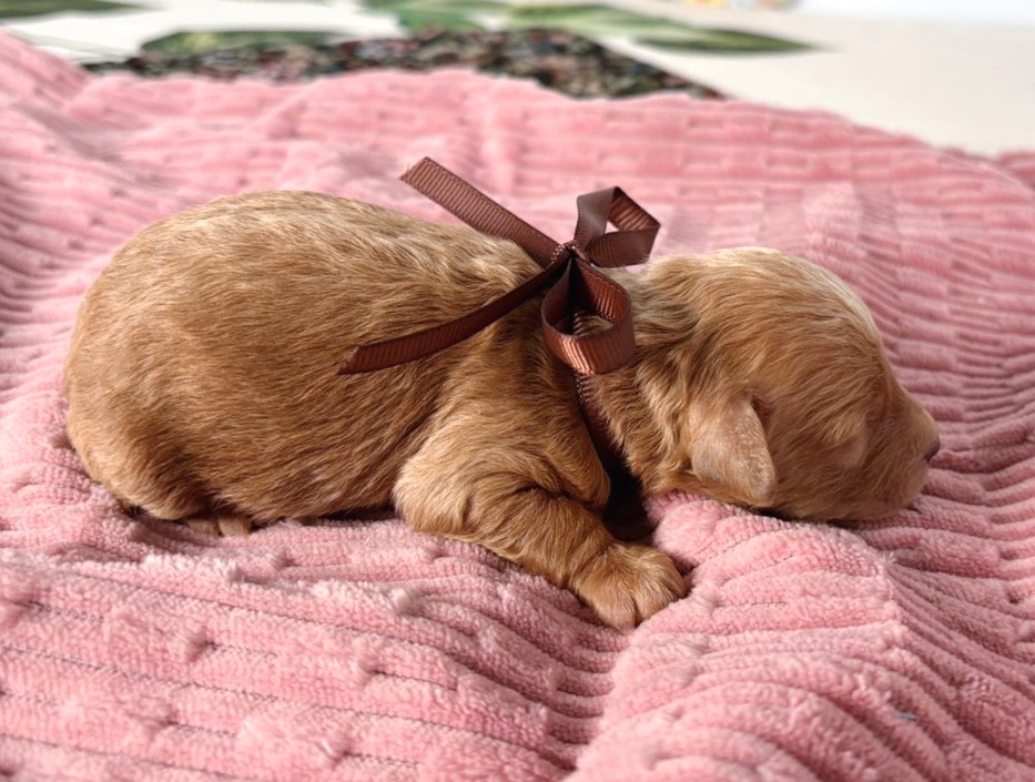 赤ちゃん写真1-2