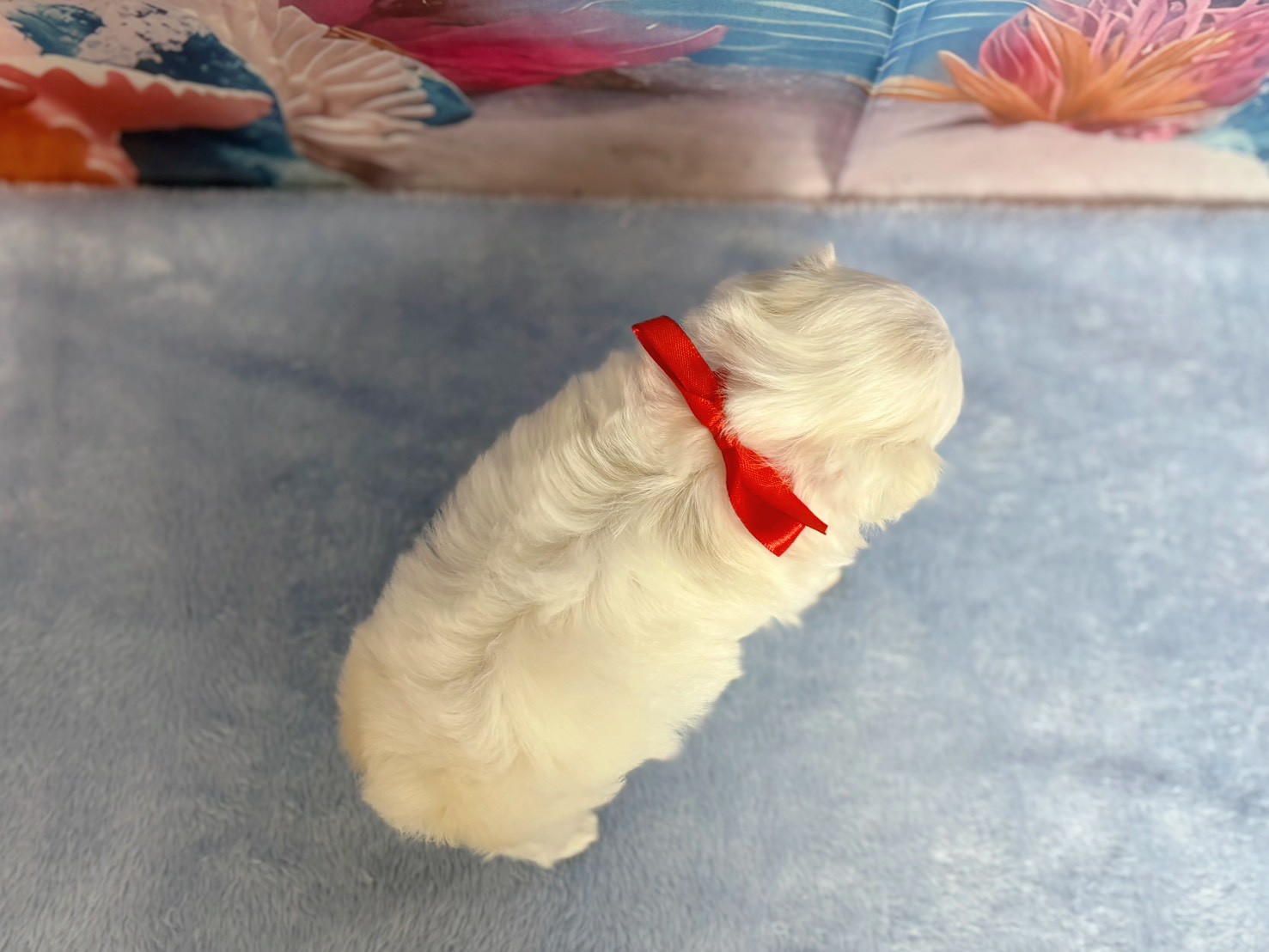 赤ちゃん写真2-3