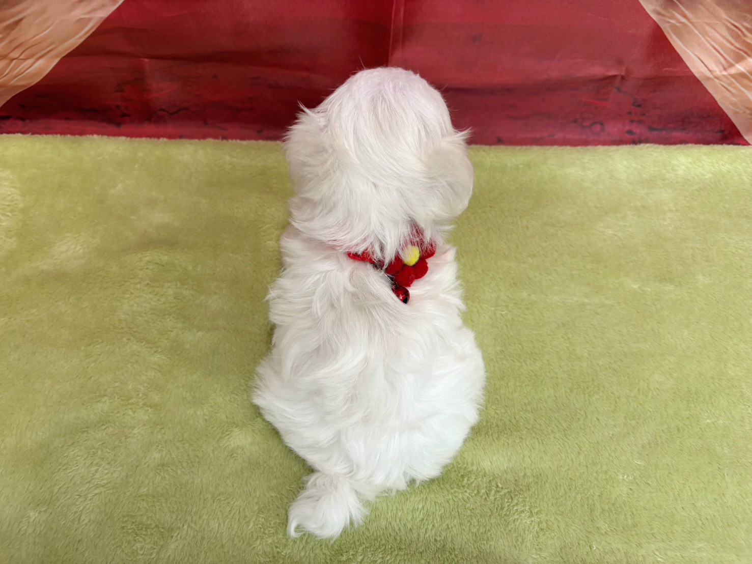 赤ちゃん写真3-3