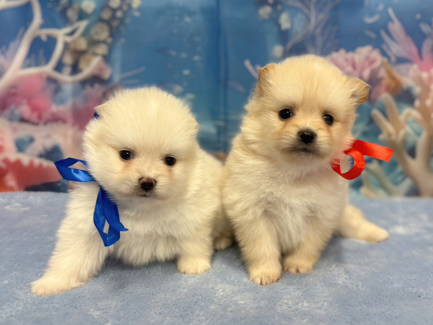 赤ちゃん写真2-3