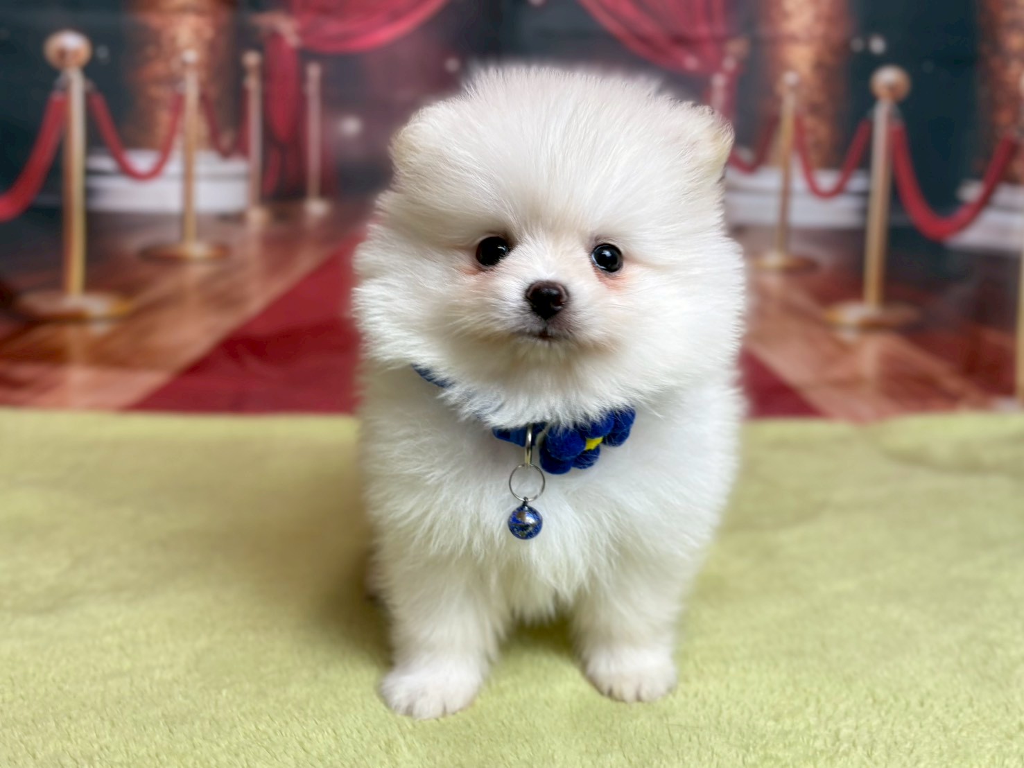 赤ちゃん写真3-1