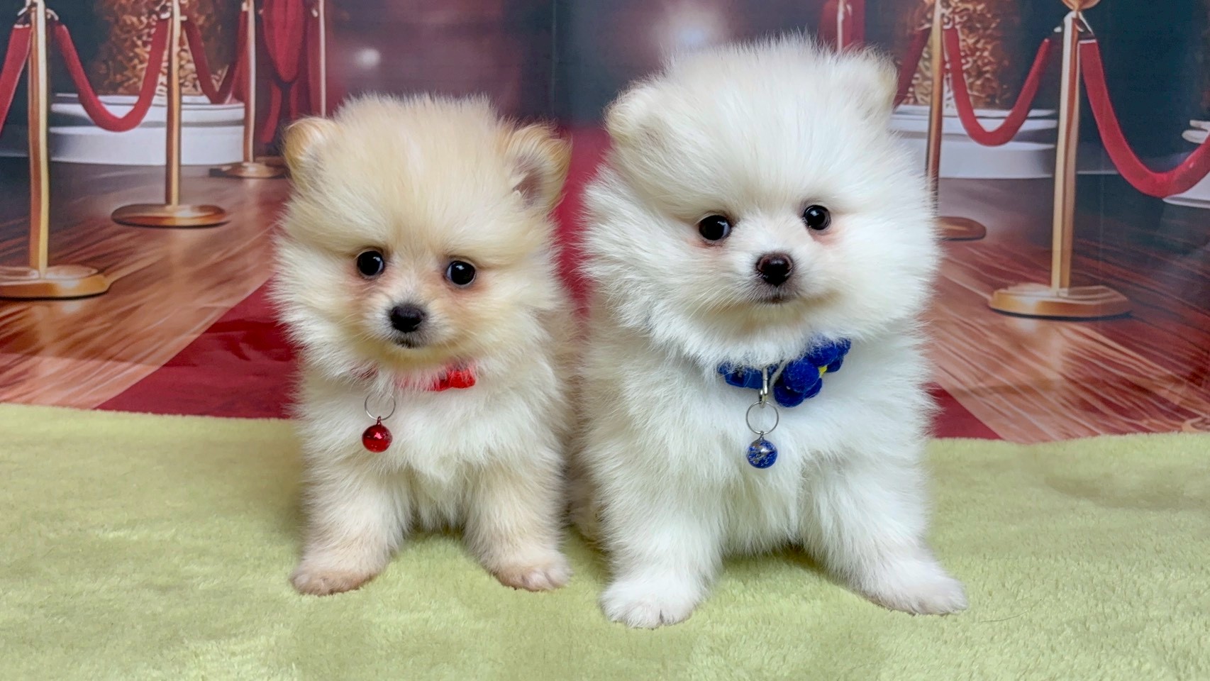 赤ちゃん写真3-3
