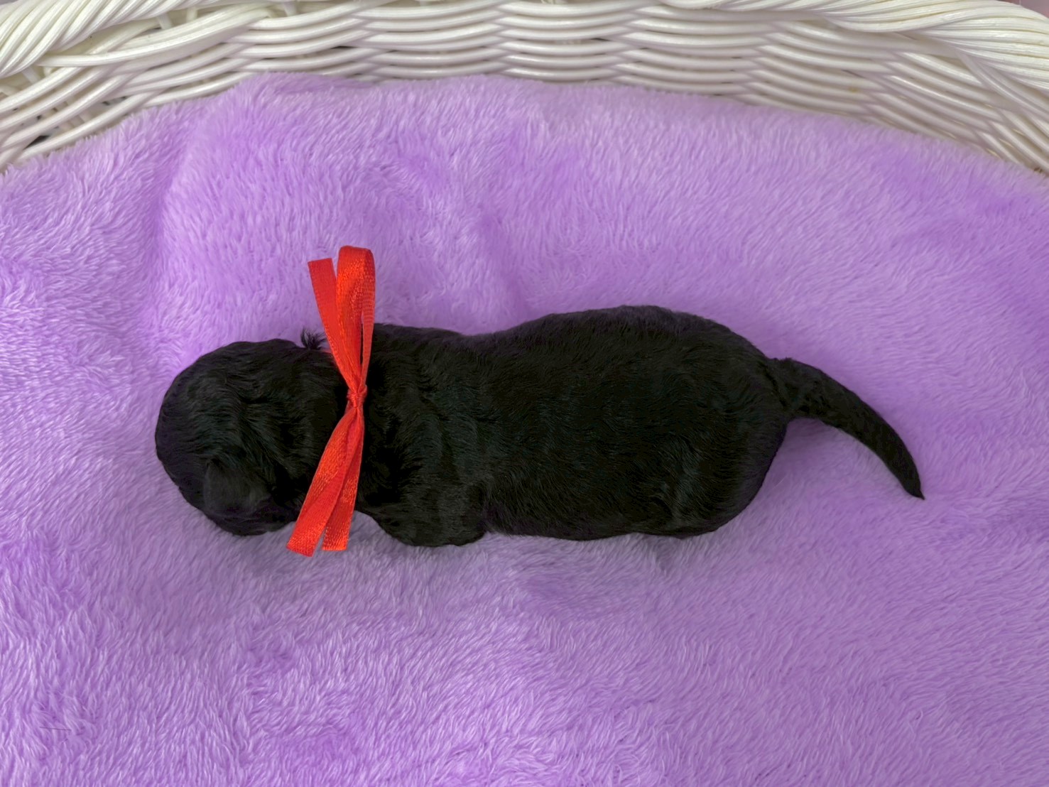 赤ちゃん写真1-3