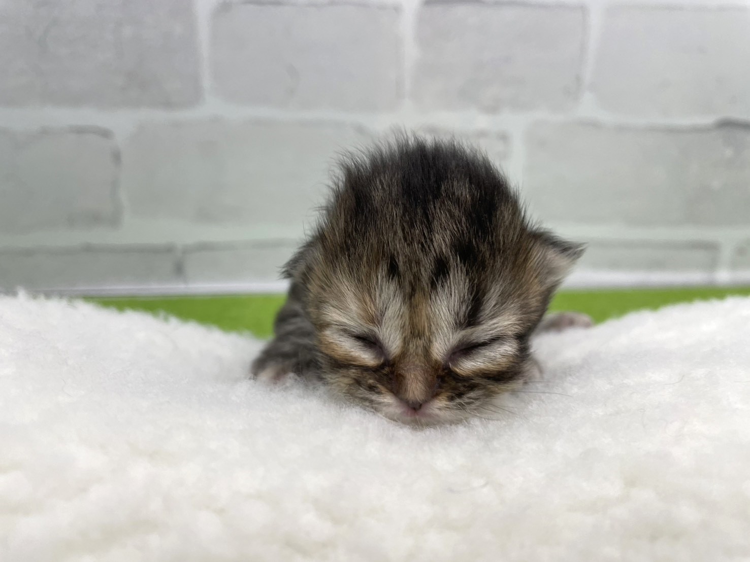 赤ちゃん写真1-1