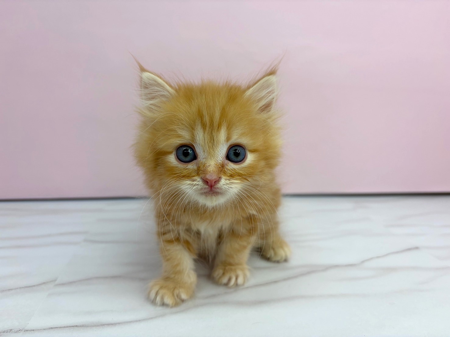 赤ちゃん写真2-1