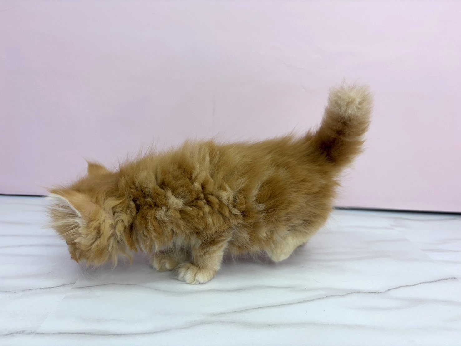 赤ちゃん写真2-2