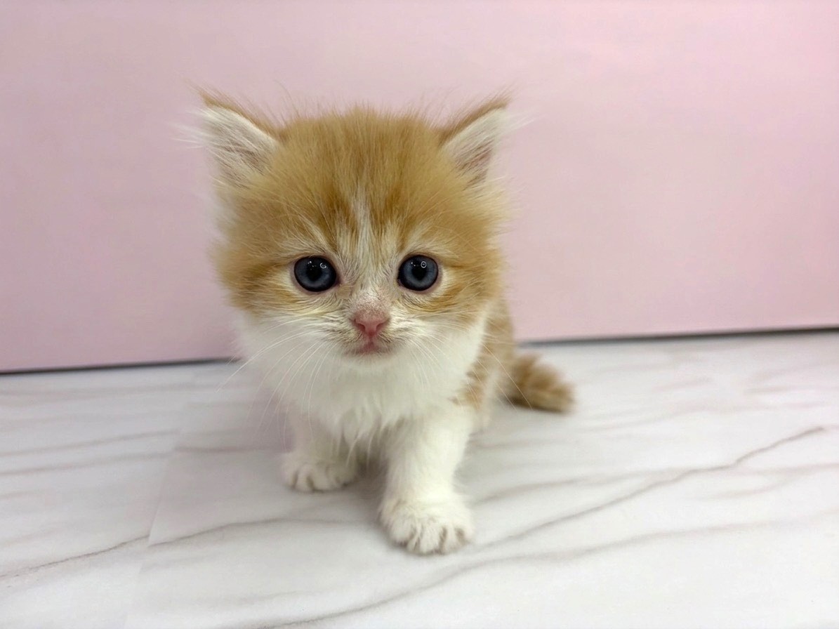赤ちゃん写真2-1