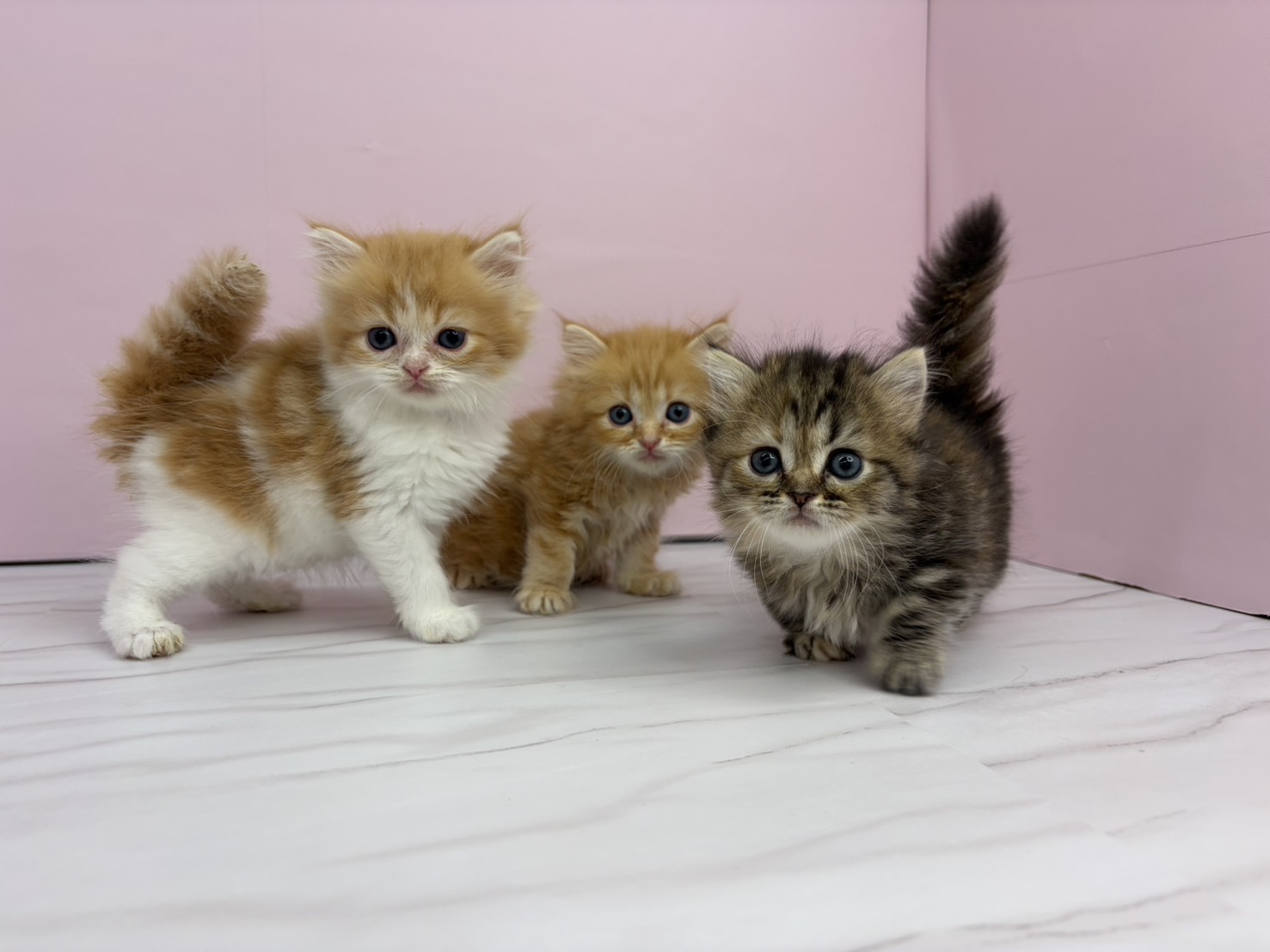 赤ちゃん写真2-3