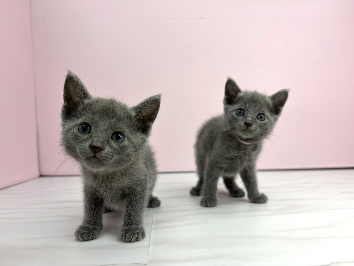 赤ちゃん写真2-3