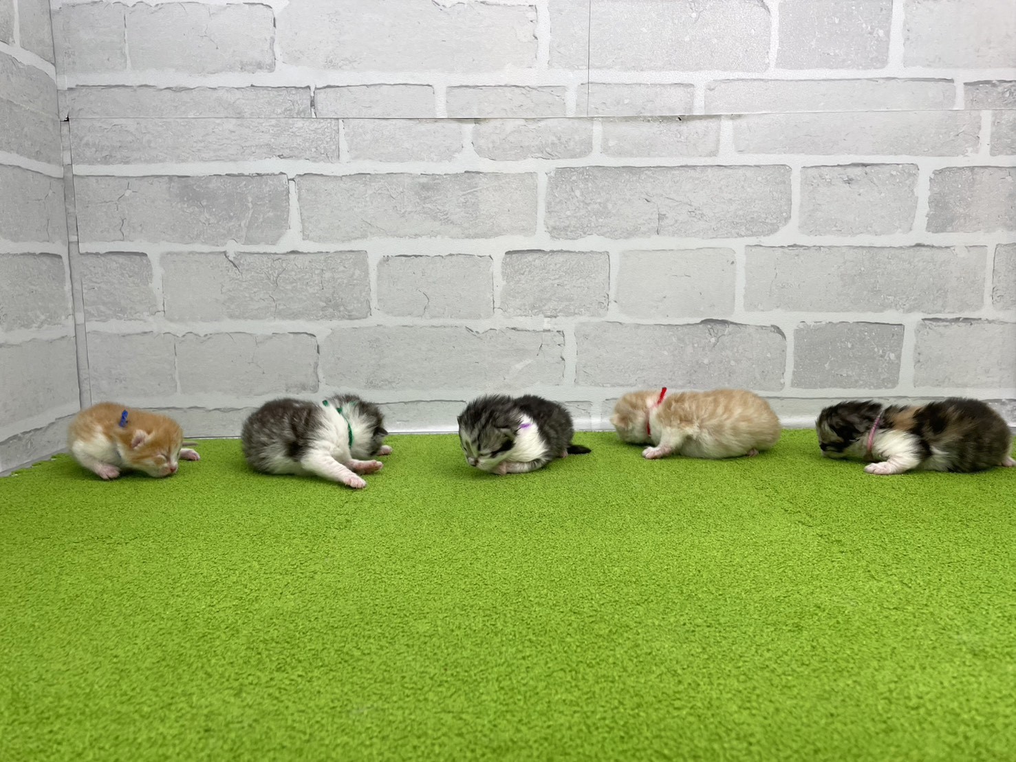 赤ちゃん写真1-3
