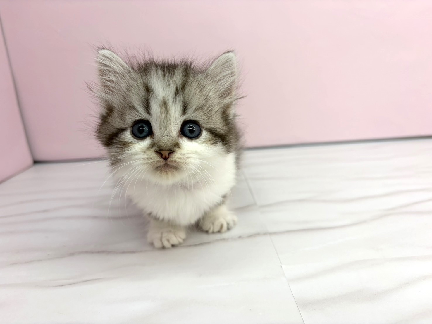 赤ちゃん写真2-1