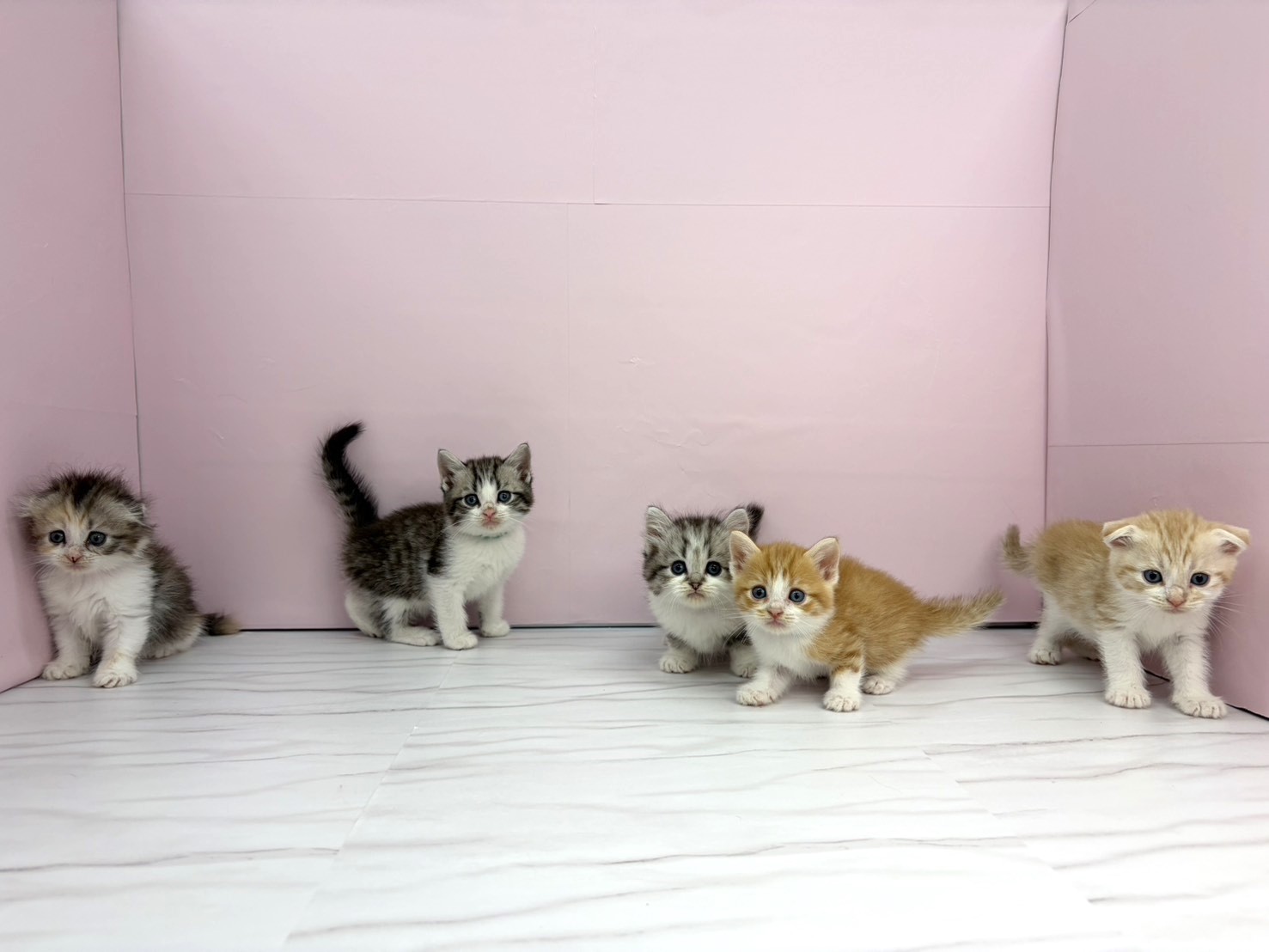 赤ちゃん写真2-3