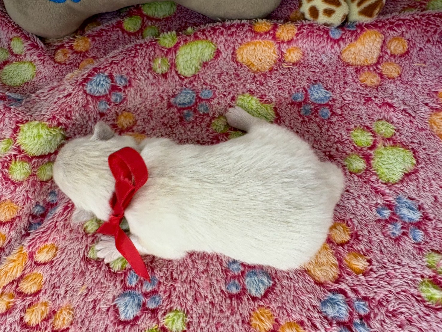 赤ちゃん写真1-3