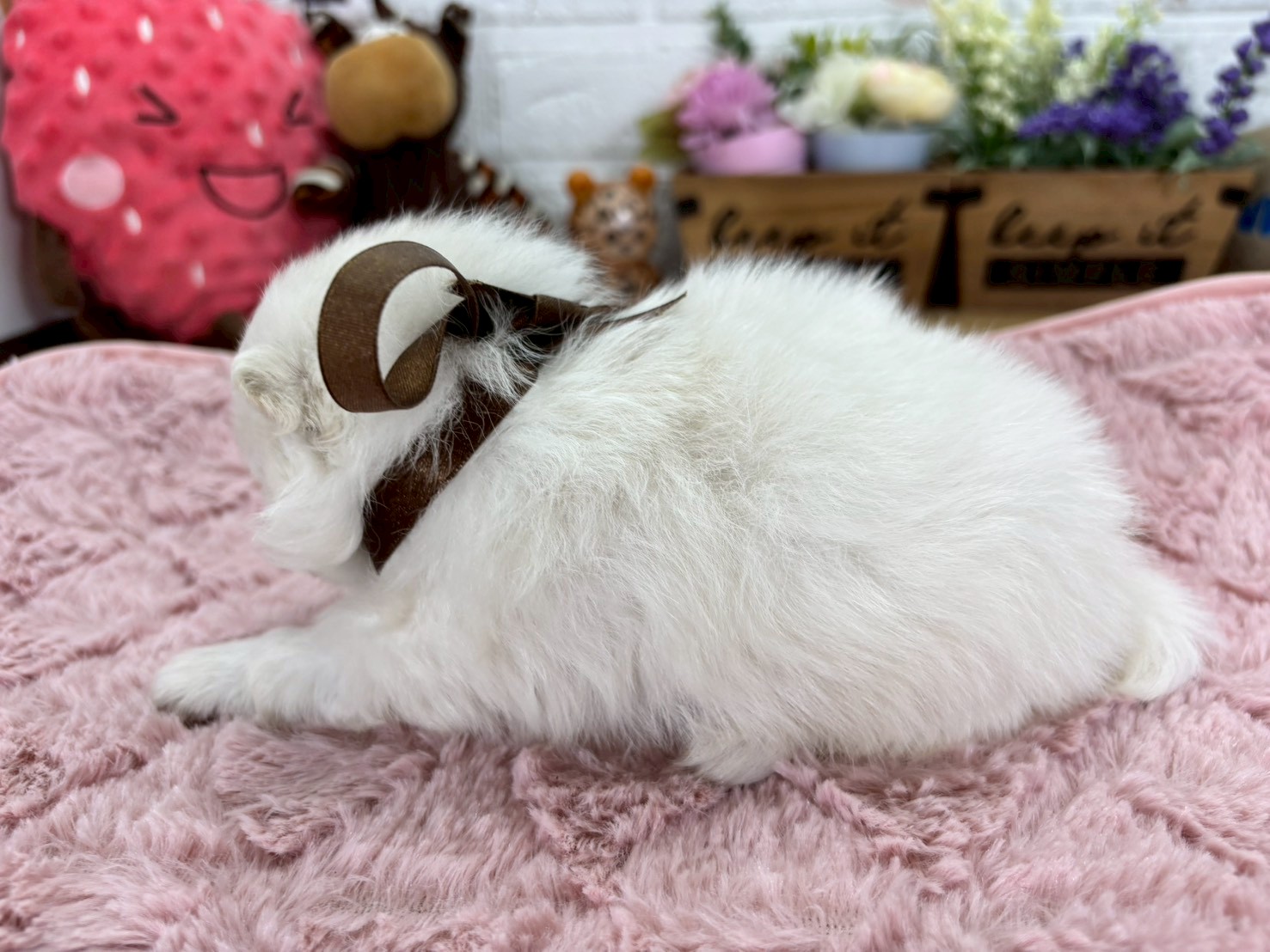 赤ちゃん写真2-2