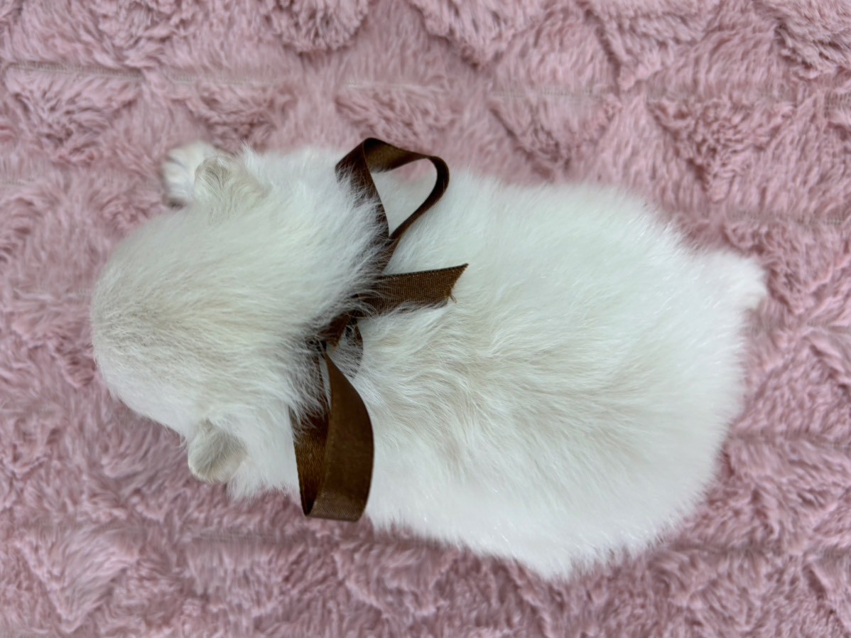 赤ちゃん写真2-3