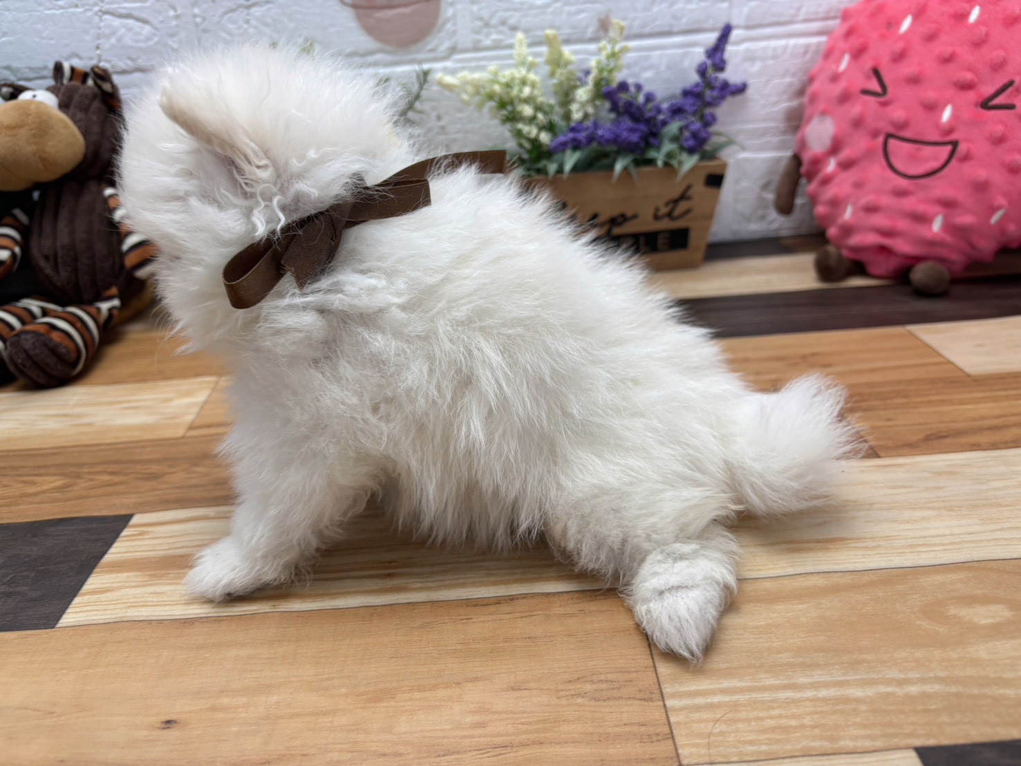 赤ちゃん写真3-2